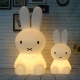 Lámpara luminosa led 'Conejo', luz cálida