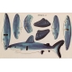 Pack de 12 Mini-Puzzle 3D Tiburón Azul Regalo Grupos Niños Invitados Cumpleaños