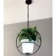 LED Hanging Flower Pot with 16 colors Ligh "Roma"