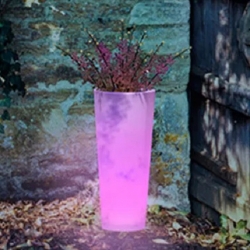 Solar LED Flowerpot 60cm RGBW light of 16 colors 'Ficus'