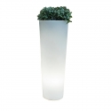 Solar LED Flowerpot 80cm RGBW light of 16 colors 'Ficus'