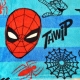 Coralina blanket: LOL Surprise, Minnie and Spiderman