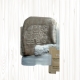Manta de Coralina Estampada 130x160 cm para Sofá, Microseda, Borreguito, Suave, Extra Confort