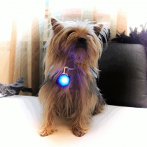 Medallon de luz LED para mascotas