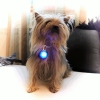 Medallon de luz LED para mascotas