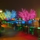 LED light bright tree, 250cm, 600 LEDs